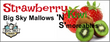 Big Sky Strawberry kiwi Mallow