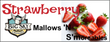 Big Sky Strawberry Mallow