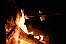 Campfire Roasting Mallow